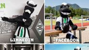 Mascote do Borussia Mönchengladbach.