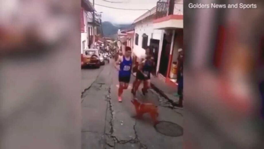 Corredor colombiano perde patrocínios após ser apanhado a pontapear cão em corrida