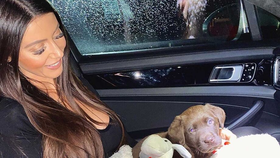 Novo inquilino para alegrar o lar de Filipa Brandão