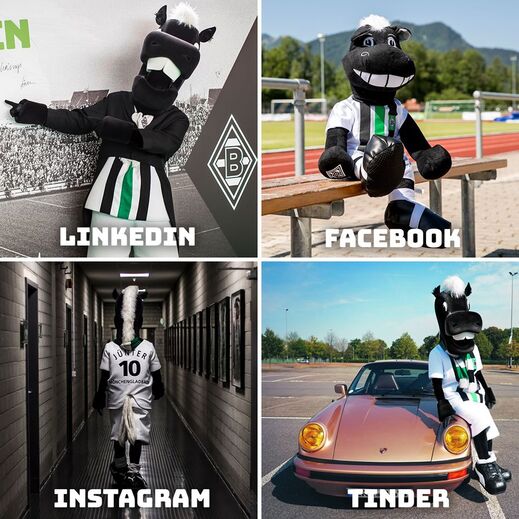 Mascote do Borussia Mönchengladbach.