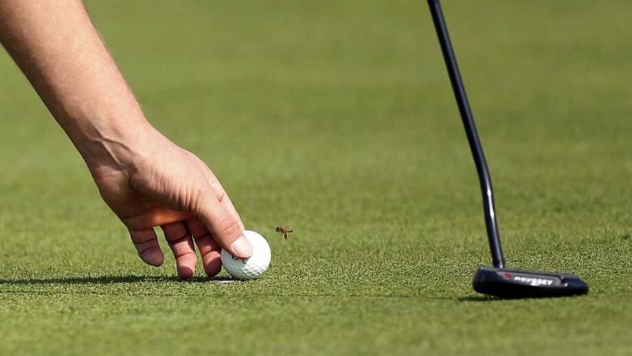 Presidente do CNIG coloca questões ambientais entre as prioridades da indústria do golfe