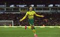 Jamal Lewis (defesa do Norwich)