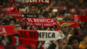 Benfica e Luís Bernardo condenados por barrar 'Jornal de Notícias' na Luz