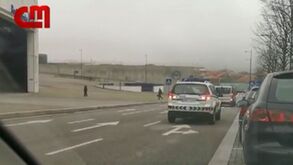 FC Porto entre os visados de operação do Fisco