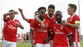 Benfica defronta Dínamo Zagreb nos quartos-de-final da Youth League 
