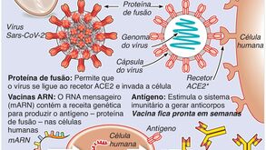 Desenvolvimento da vacina para o coronavírus poderá custar 1,7 mil milhões de euros