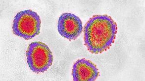 Coronavírus: UEFA adia o Juventus-Real Madrid dos 'oitavos' da Youth League