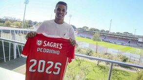 Coronavírus: Reforço do Benfica em isolamento