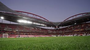 Quanto sabe sobre a história do Benfica? Teste aqui os seus conhecimentos