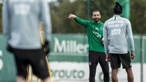 Leões querem pré-época