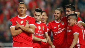 Como as águias fogem do tédio 