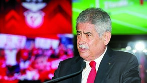 Ações do Benfica afundam 10% e negoceiam a metade do preço da OPA