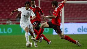 Nuno Assis: «Sentia uma pressão maior no Vitória do que no Benfica»