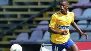 Estoril renova contratos com Chiquinho e Bernardo Vital até 2022