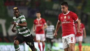 Extensão dos contratos decisiva