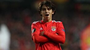 João Félix, o treino num 'campozito' do Estádio da Luz e um carro com 800 mil km