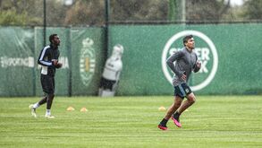 Jogadores do Sporting voltaram a trabalhar na Academia