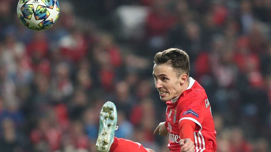 Grimaldo trava compra de lateral-esquerdo