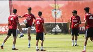 Benfica inicia mais uma semana de trabalho: veja as imagens