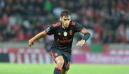 Salvio