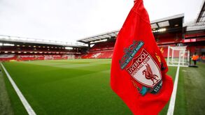 Espanhóis escolheram os melhores estádios do mundo: Luz e Dragão estão na lista