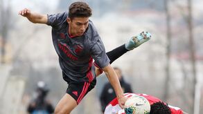 Ingleses dizem que gigantes europeus estão 'doidos' por jovem do Benfica