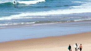 Federação organiza ação de formação para regresso do ensino do surfing