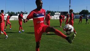 Tito e Fostino à espera da oportunidade