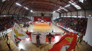 Domingos Almeida Lima: «Ecletismo não vai acabar no Benfica»