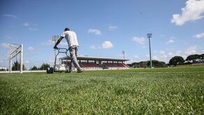 Flamengo de Jesus equacionou pré-época no Benfica Campus e na Cidade do Futebol