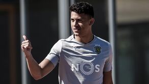 Luta acesa por um lugar ao sol