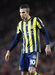 Van Persie