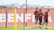 Weigl e Zivkovic em pleno: veja as imagens do treino do Benfica