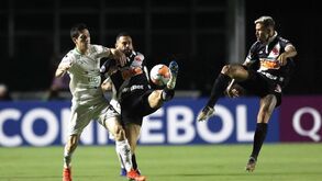 Vasco da Gama com 19 casos positivos de Covid-19