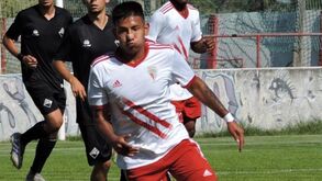 Franco Almara acerta renovação