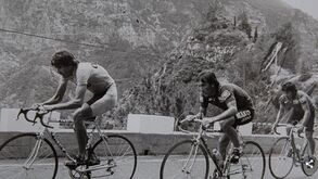 Venceslau Fernandes não correu no Sporting por amor ao Benfica