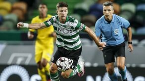 As contas do campeonato: peso da tecnologia