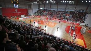 Modalidades estão de volta aos pavilhões do Benfica: como vai ser feito o regresso