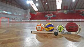 Modalidades do Benfica regressam e o clube garante 'manutenção da competitividade'