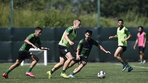 Coronavírus: Tondela com testes negativos antes de ir a Alvalade