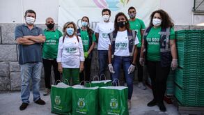 Leões fazem voluntariado