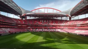 Benfica tinha 107 jogadores profissionais no final de 2019