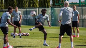 Leões regressam aos treinos com três baixas