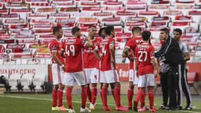 Benfica não sofria quatro golos na Luz para a Liga há 23 anos. Salgueiros surpreendeu em 1997