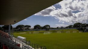 Benfica não sabe quando arrancam obras no Colégio Benfica ou no Centro de Alto Rendimento