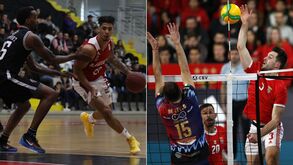 Benfica arrisca presenças do basquetebol e voleibol na Europa
