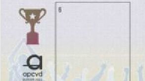 Portaria que regula novo cartão do adepto publicada em Diário da República