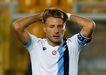 28. Immobile (7)