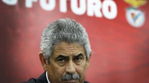 Crise no relvado agita as eleições no Benfica