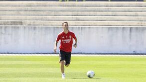 Nápoles insiste em Grimaldo e já falou com Jorge Mendes